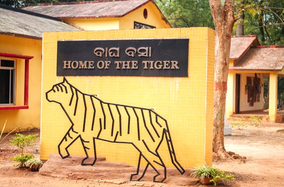 Ramatirtha Nature Camp – A Riverside Escape in Similipal