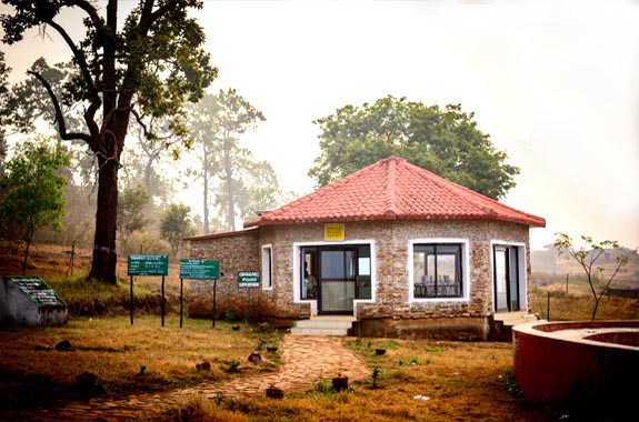 Kumari Nature Camp – Gateway to Similipal’s Wilderness